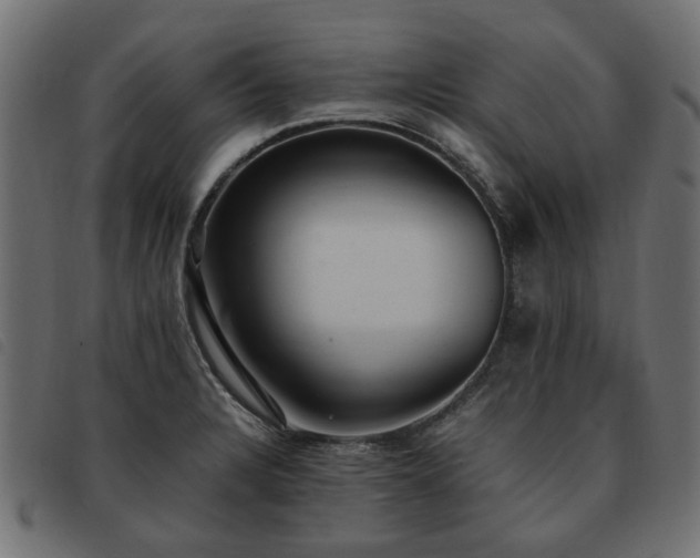 X0000093591328200710151156
