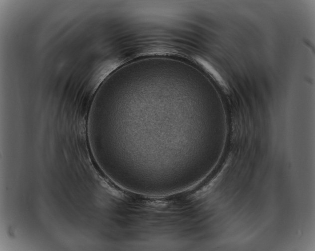 X0000093591329200710151156