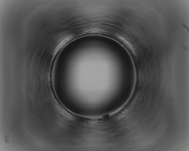 X0000093591330200710151156