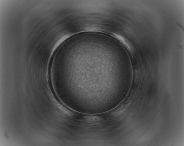X0000093591331200710151156