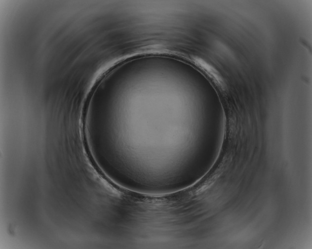 X0000093591334200710151156