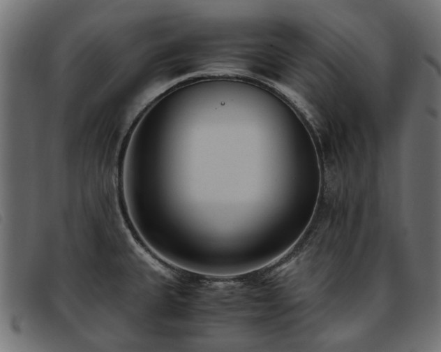X0000093591335200710151156