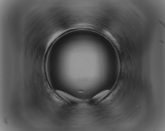 X0000093591336200710151156