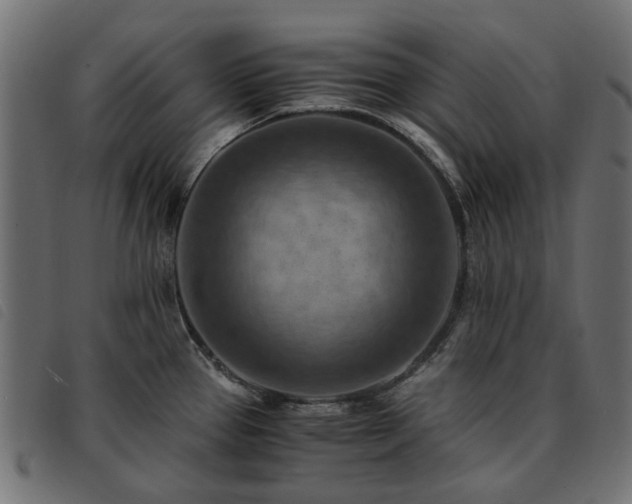 X0000093591337200710151156