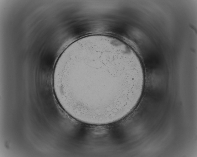 X0000093591338200710151156