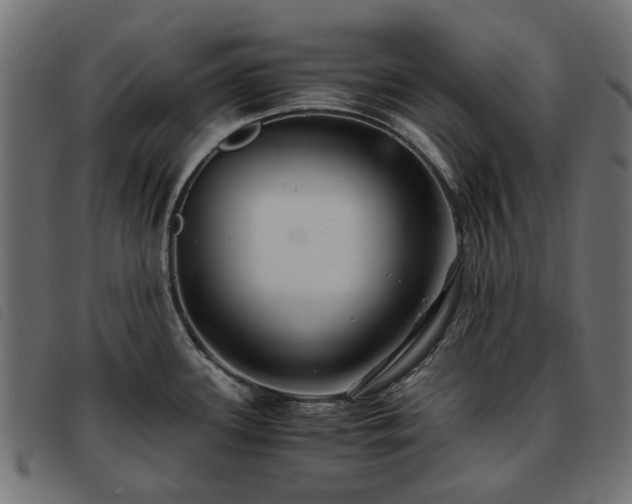 X0000093591339200710151156