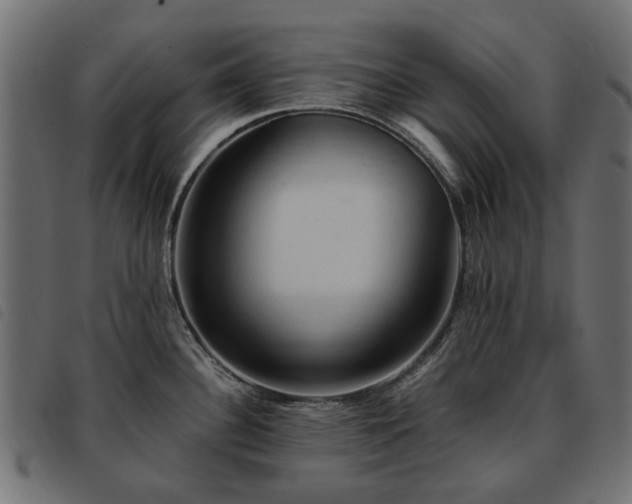 X0000093591340200710151156