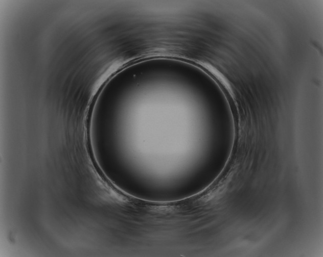X0000093591341200710151156