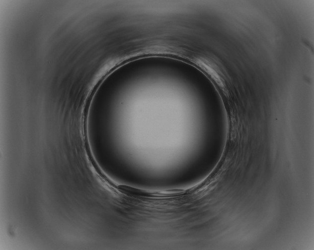X0000093591342200710151156