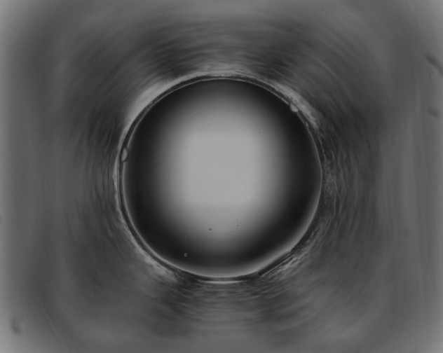 X0000093591343200710151156