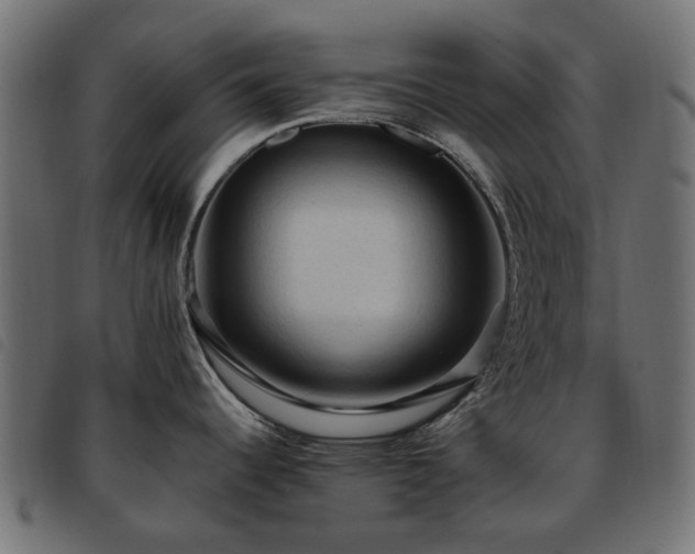 X0000093591344200710151156