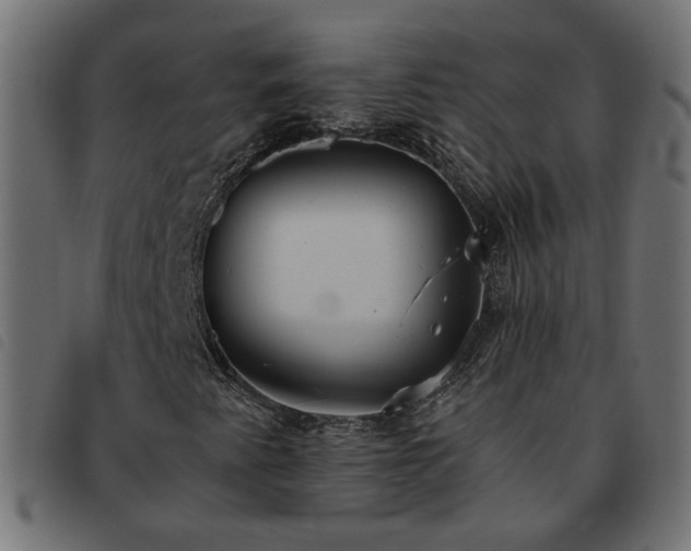 X0000093591345200710151156