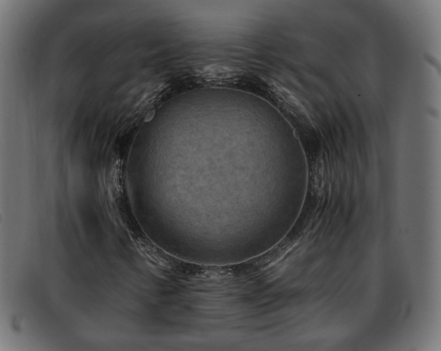 X0000093591346200710151156