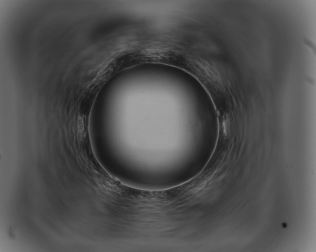 X0000093591347200710151156