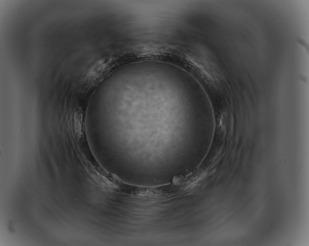 X0000093591348200710151156