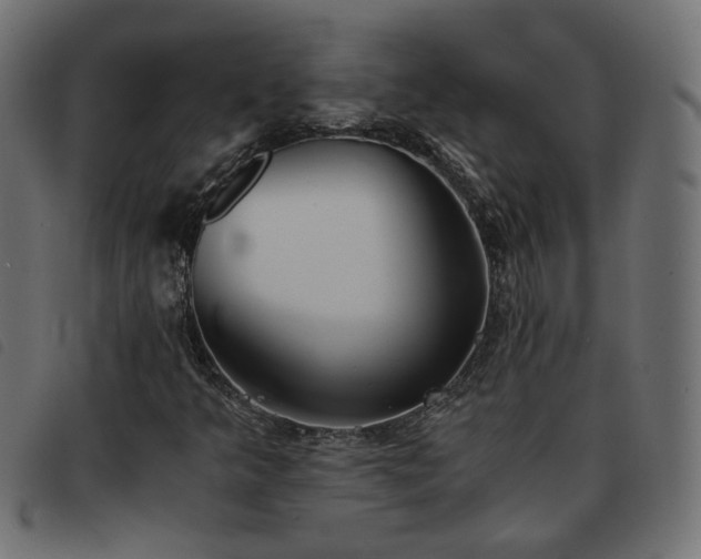 X0000093591349200710151156