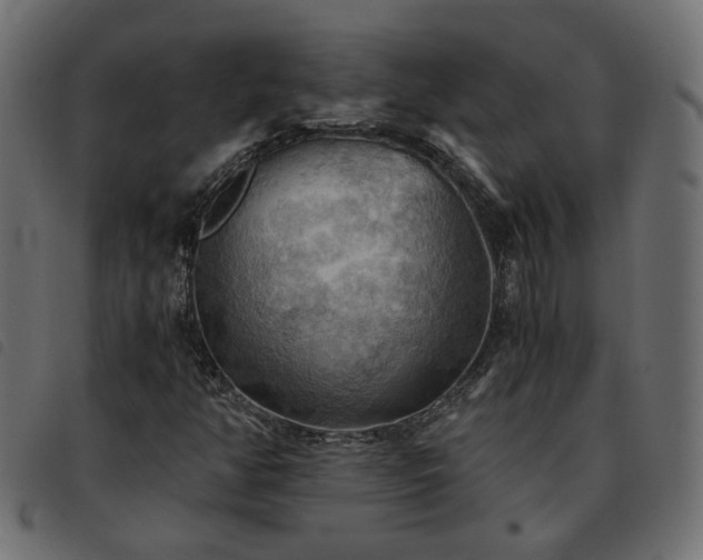 X0000093591350200710151156