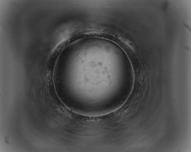 X0000093591351200710151156