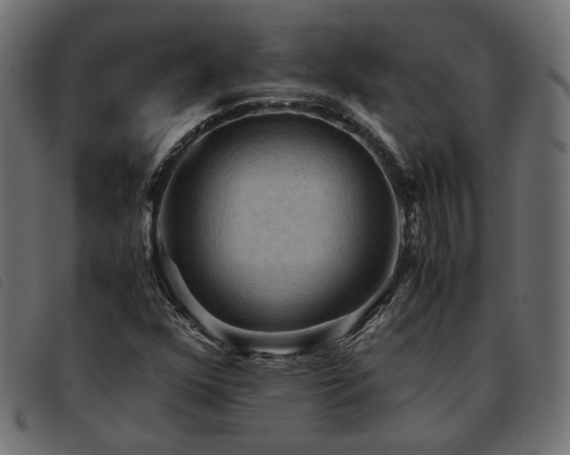 X0000093591352200710151156