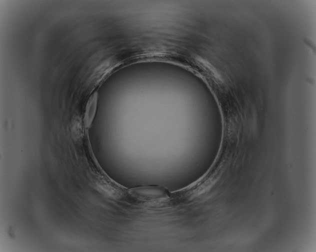 X0000093591353200710151156