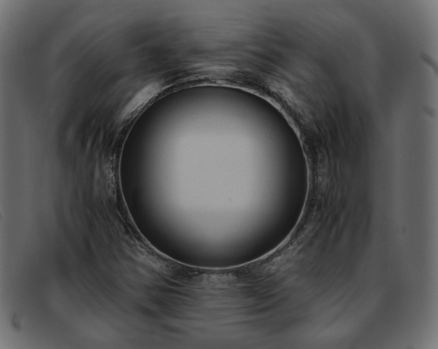 X0000093591354200710151156