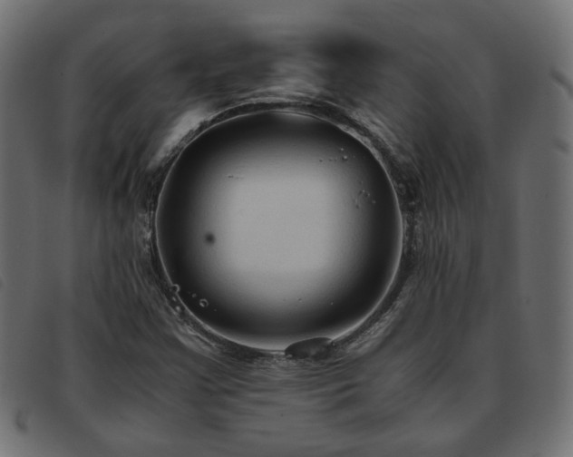 X0000093591355200710151156