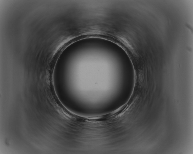 X0000093591356200710151156