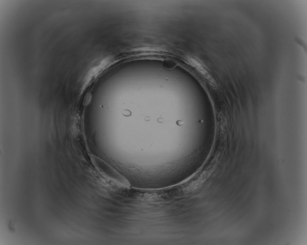 X0000093591357200710151156