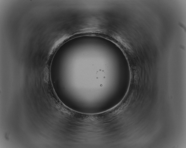 X0000093591358200710151156