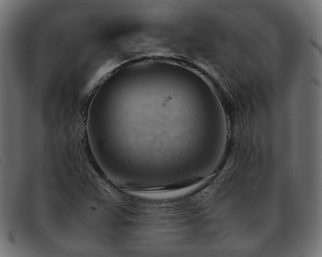 X0000093591359200710151156