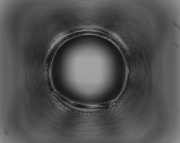X0000093591360200710151156