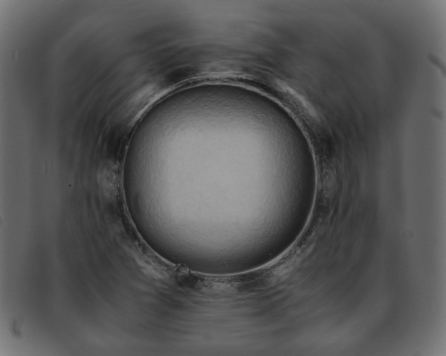 X0000093591361200710151156