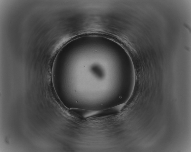 X0000093591363200710151156
