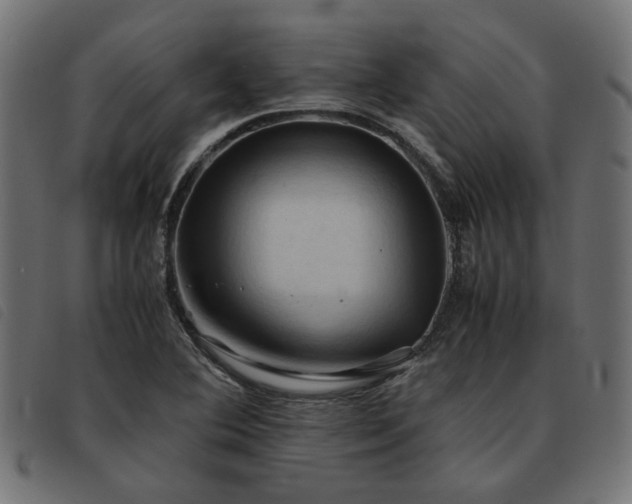 X0000093591364200710151156