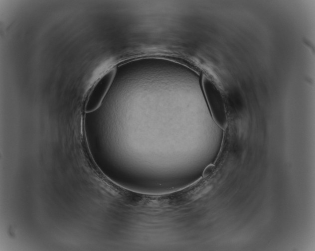 X0000093591365200710151156