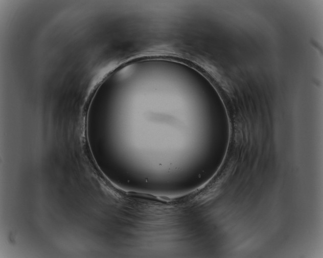 X0000093591366200710151156
