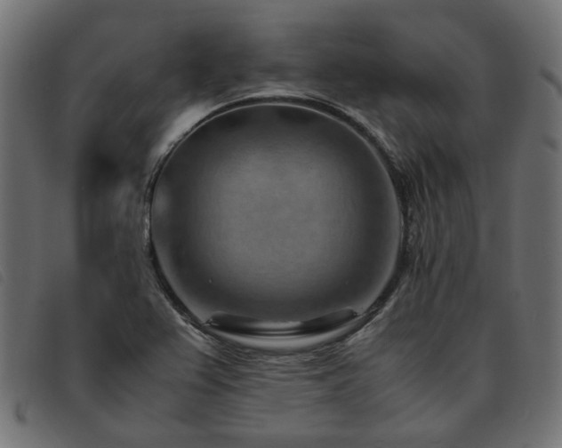 X0000093591367200710151156