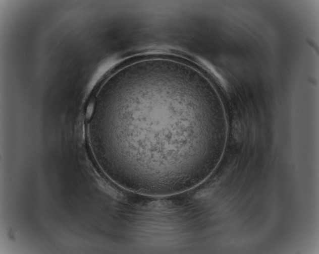 X0000093591368200710151156
