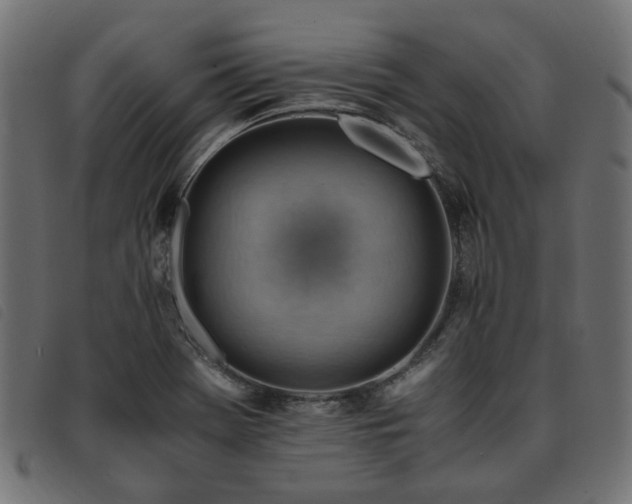 X0000093591369200710151156