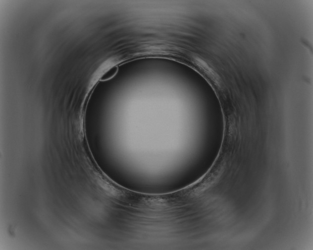 X0000093591370200710151156