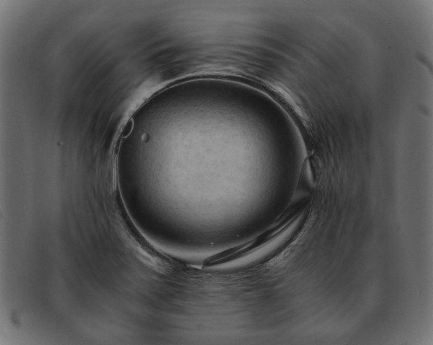 X0000093591371200710151156