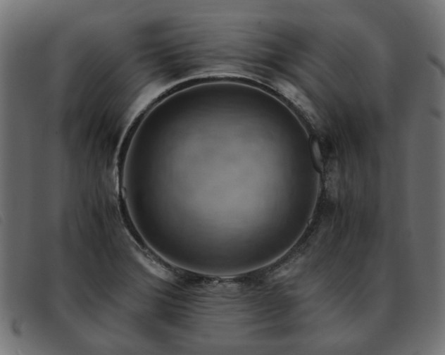 X0000093591372200710151156