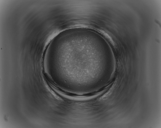 X0000093591373200710151156