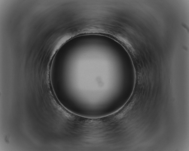 X0000093591374200710151156