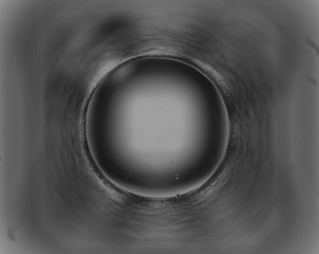 X0000093591375200710151156