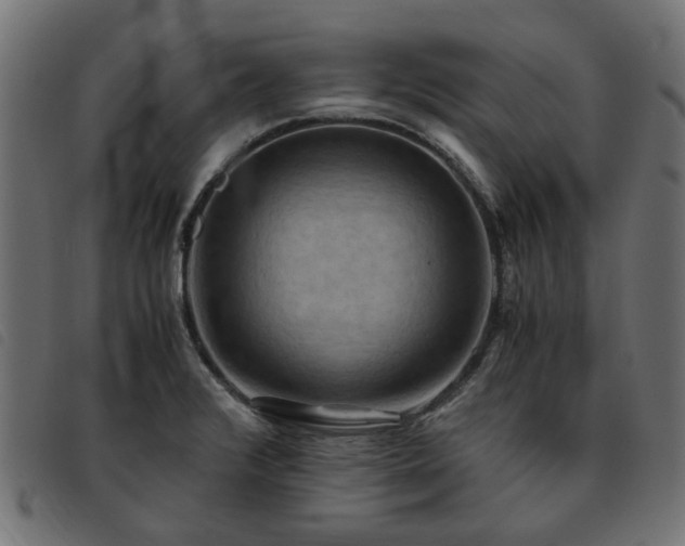 X0000093591376200710151156