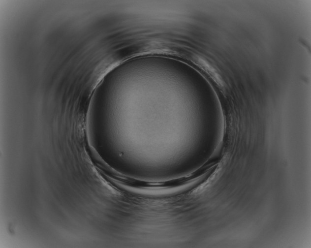 X0000093591377200710151156