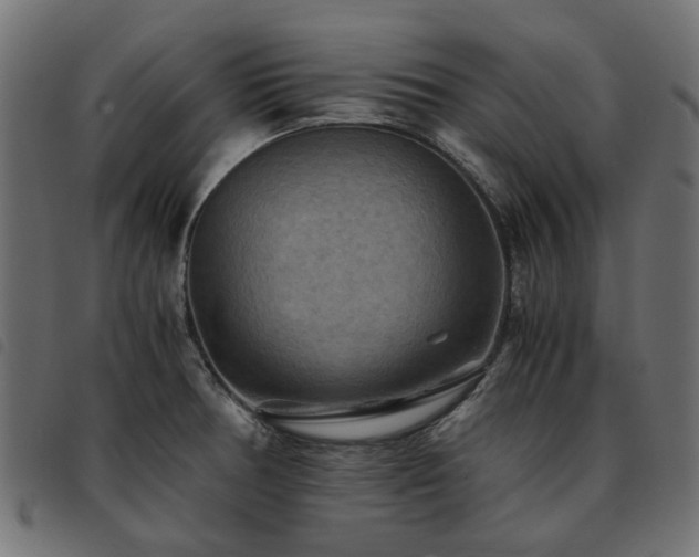 X0000093591378200710151156