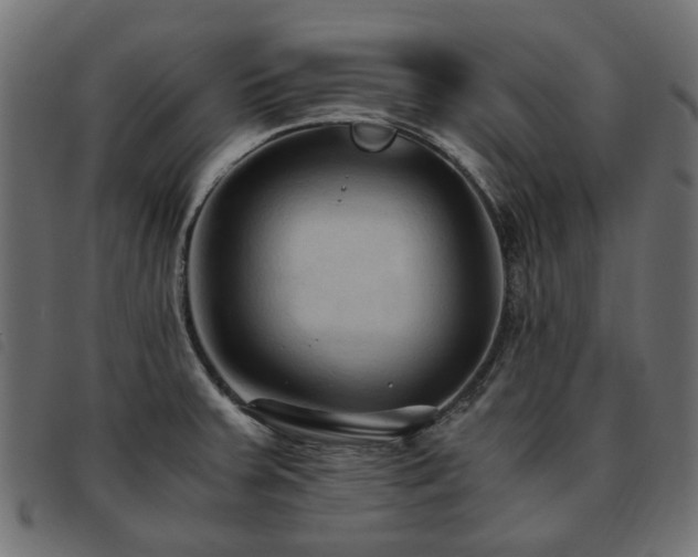 X0000093591379200710151155