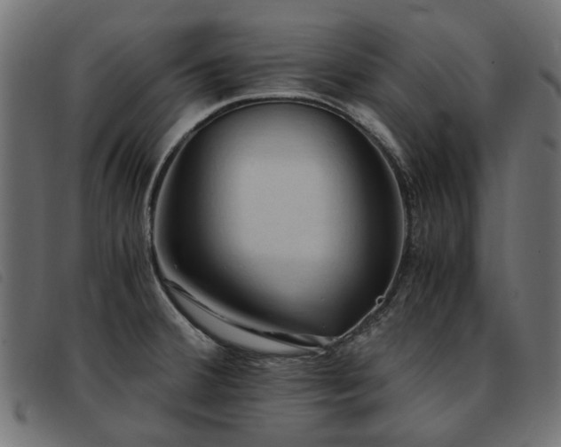 X0000093591380200710151155